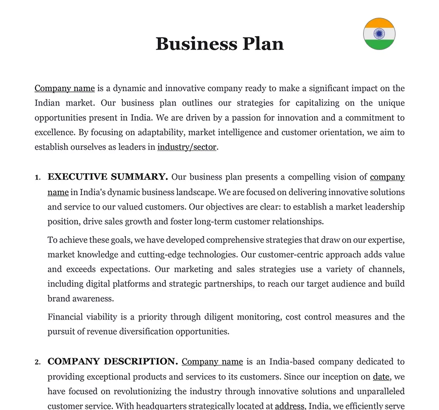 business plan template india