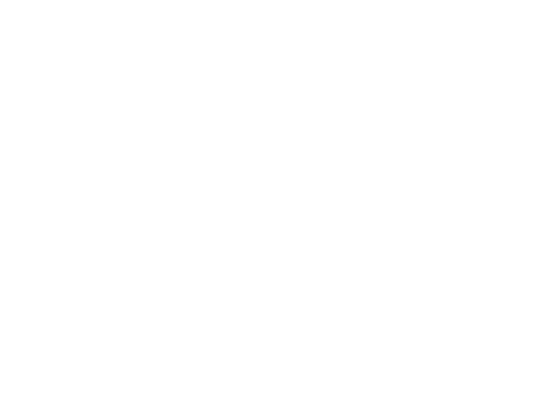 Logo Themis Partner Black