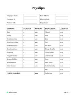 Payslip template