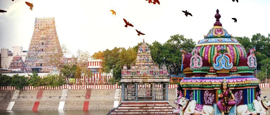 Themis Partner legal services Chennai